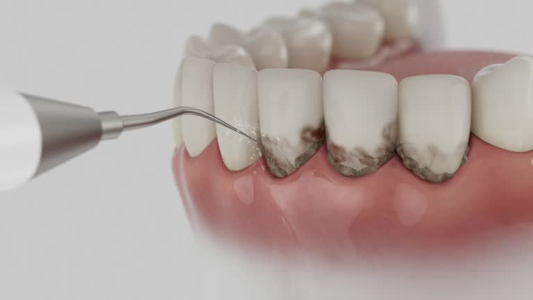 Reliable Dental contractor in Lansing, IL by Dentist Open Now